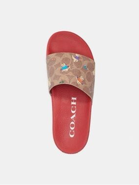 Coach Udele Whimsical Cat Printed Slide